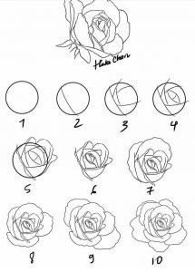 40 Cómo dibujar una rosa Tutoriales de dibujo de Easy Rose HARUNMUDAK