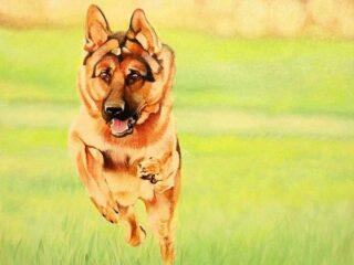 Acrylic Painting Ideas 8 2