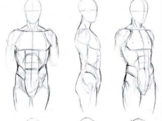 HOW TO DRAW BODY SHAPES Tutorials For Beginners 8