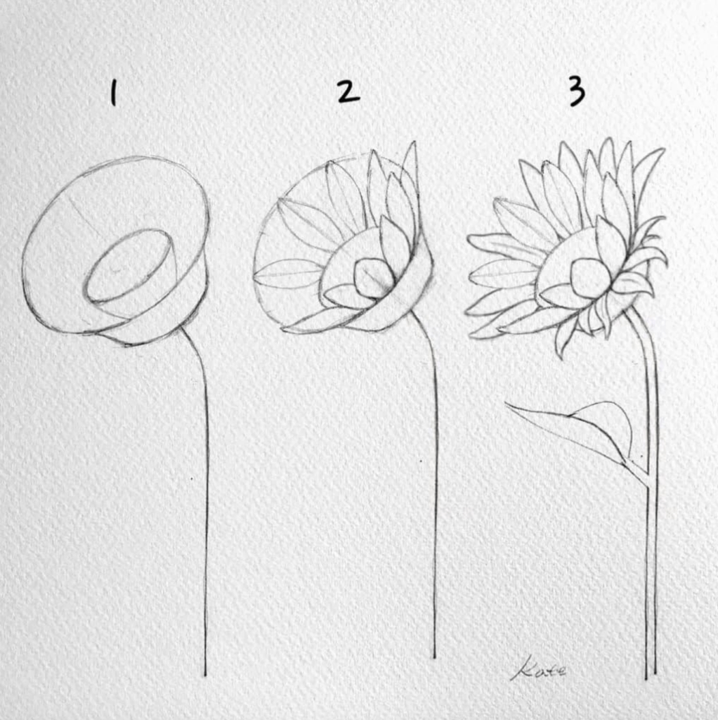 35+ Flower Drawings for Beginners Step by Step HARUNMUDAK