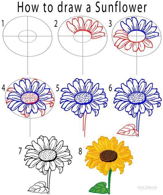 35+ Flower Drawings for Beginners- Step by Step - HARUNMUDAK