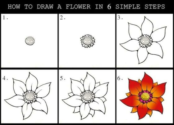 how to draw a flower in six simple steps simple drawing ideas step by step diy tutorial