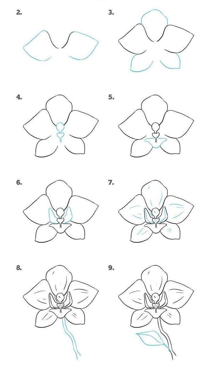 35+ Flower Drawings for Beginners- Step by Step | HARUNMUDAK