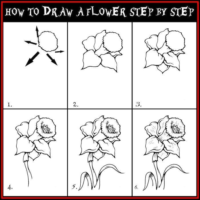 35+ Flower Drawings for Beginners- Step by Step - HARUNMUDAK