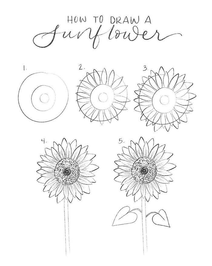 Flower Sketch Images  Browse 1652 Stock Photos Vectors and Video   Adobe Stock