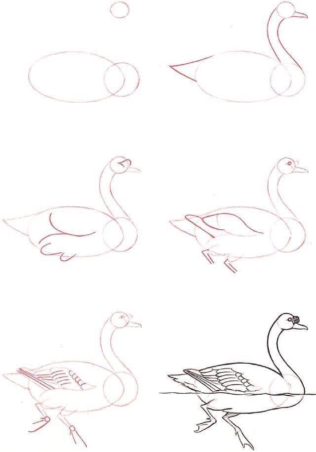 https://harunmudak.com/wp-content/uploads/2020/04/easy-drawing-ideas-for-beginners-47.jpg