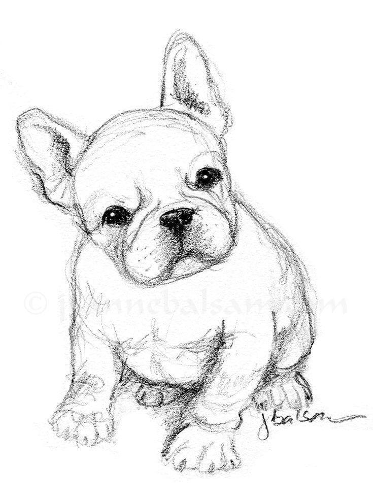 cute-drawing-ideas-for-beginners-drawings-draw-cool-things-easy-cute