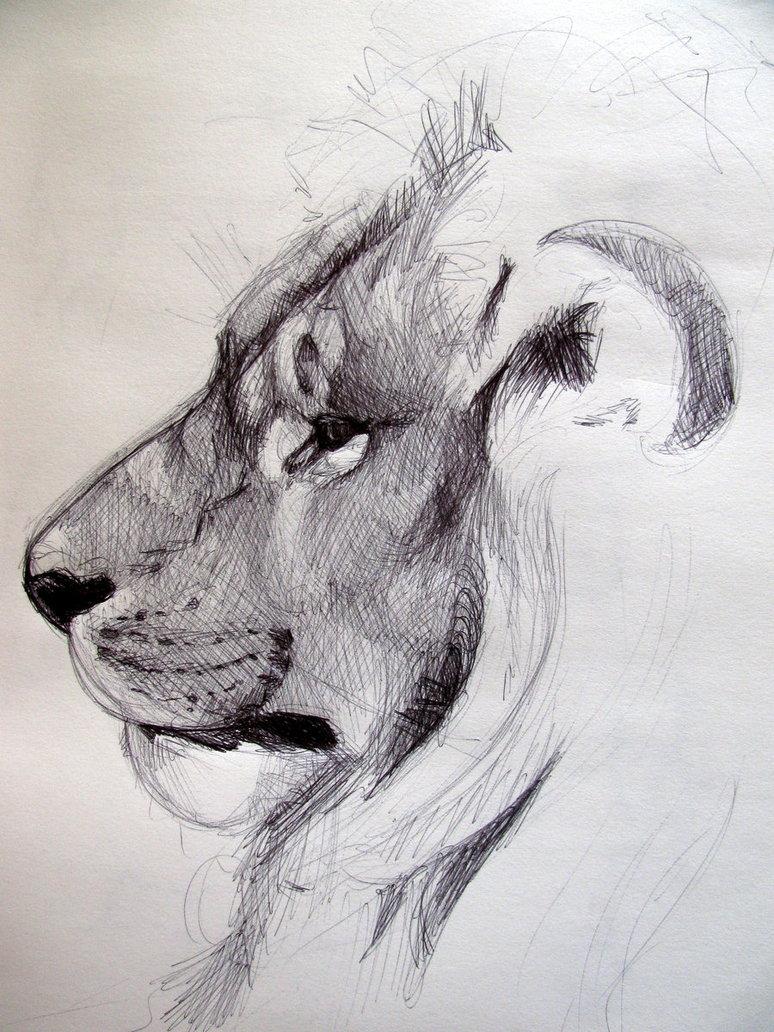 40 Free  Easy Animal Sketch Drawing Information  Ideas  Brighter Craft
