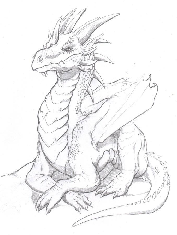 dragon sketch