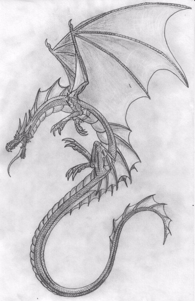 ¿Cómo dibujar un dragón? Más de 30 bocetos de dragón fácil | HARUNMUDAK