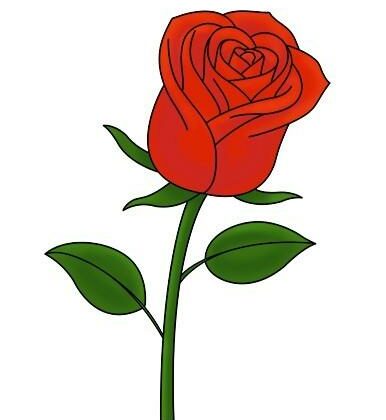 how to draw a rose 7