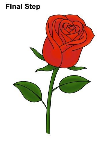 how to draw a rose 7