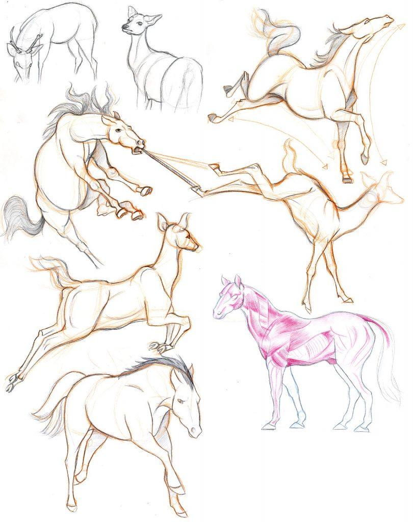 sketchbook ideas animals