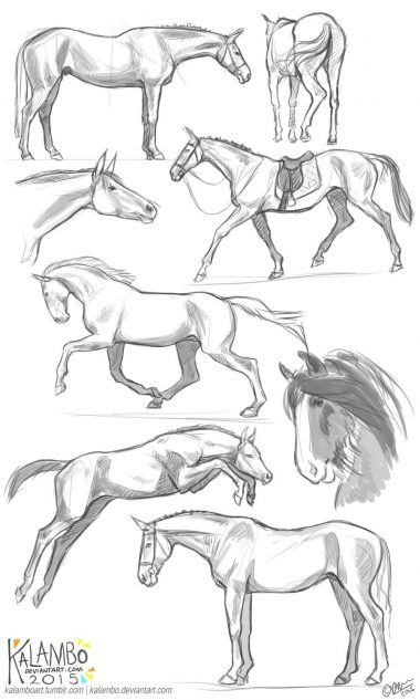 50+ Easy Animal Sketches Drawing Ideas | HARUNMUDAK