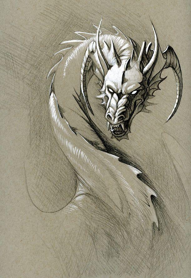 Dragon Sketch Images  Free Download on Freepik