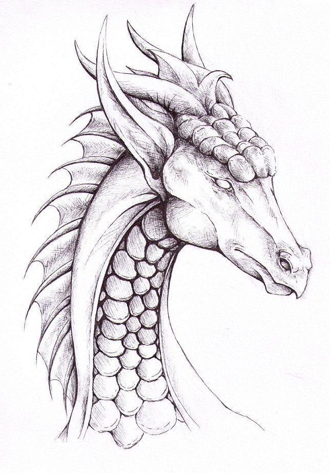 Drachen 17 Ausmalbilder Como Dibujar Dragones Dragon Sketch Dragon ...