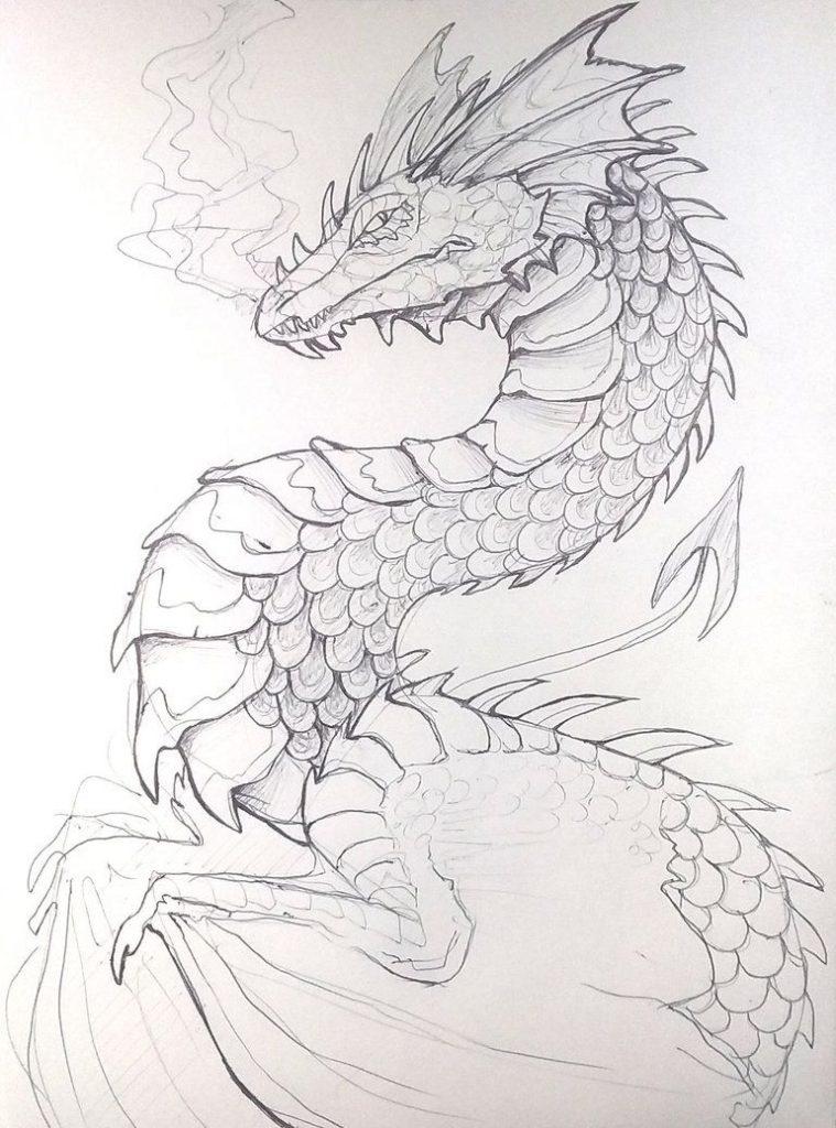 simple dragon sketch drawing