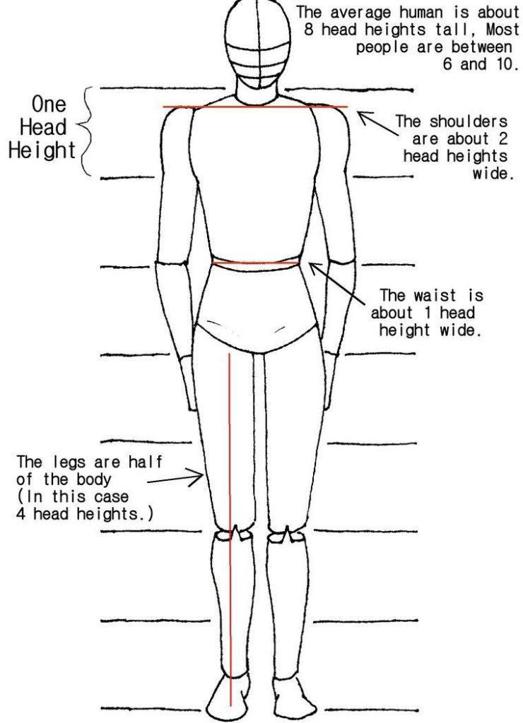 20-how-to-draw-body-shapes-step-by-step-harunmudak