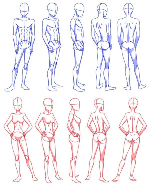 20+ How to Draw Body Shapes Step by Step | HARUNMUDAK
