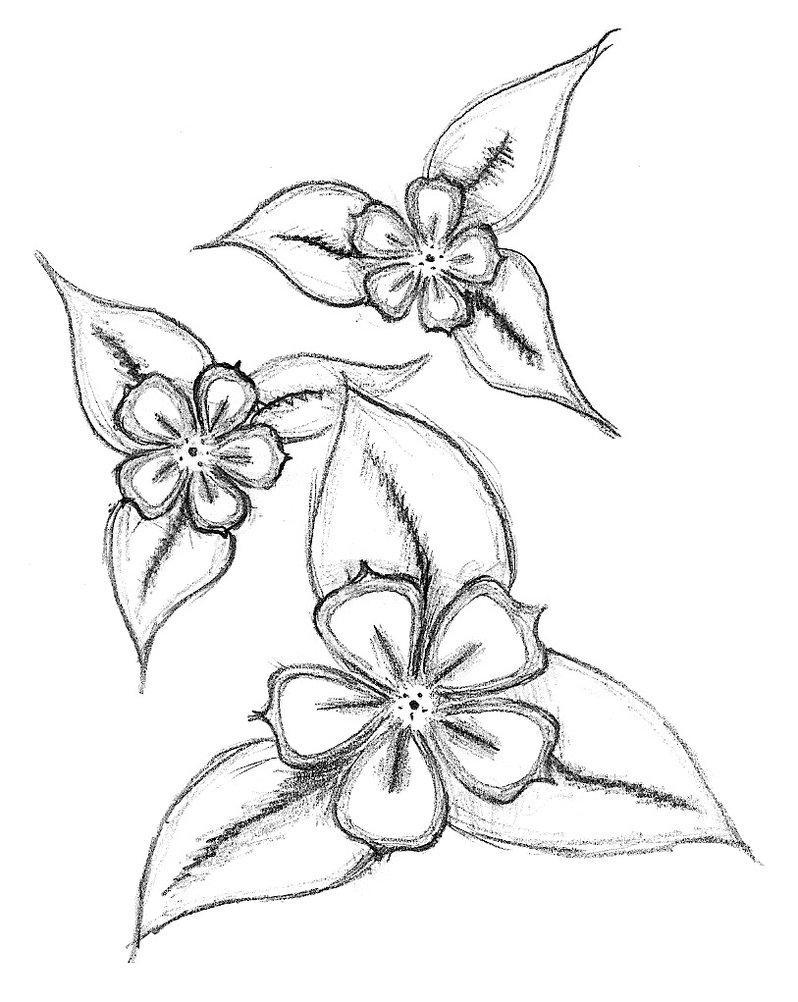 Simple Flower Drawing 