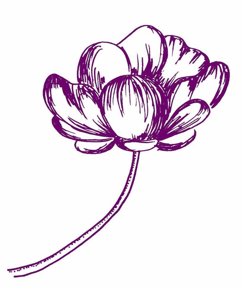 How to Draw ANY Flower with Pen & Ink - Ran Art Blog