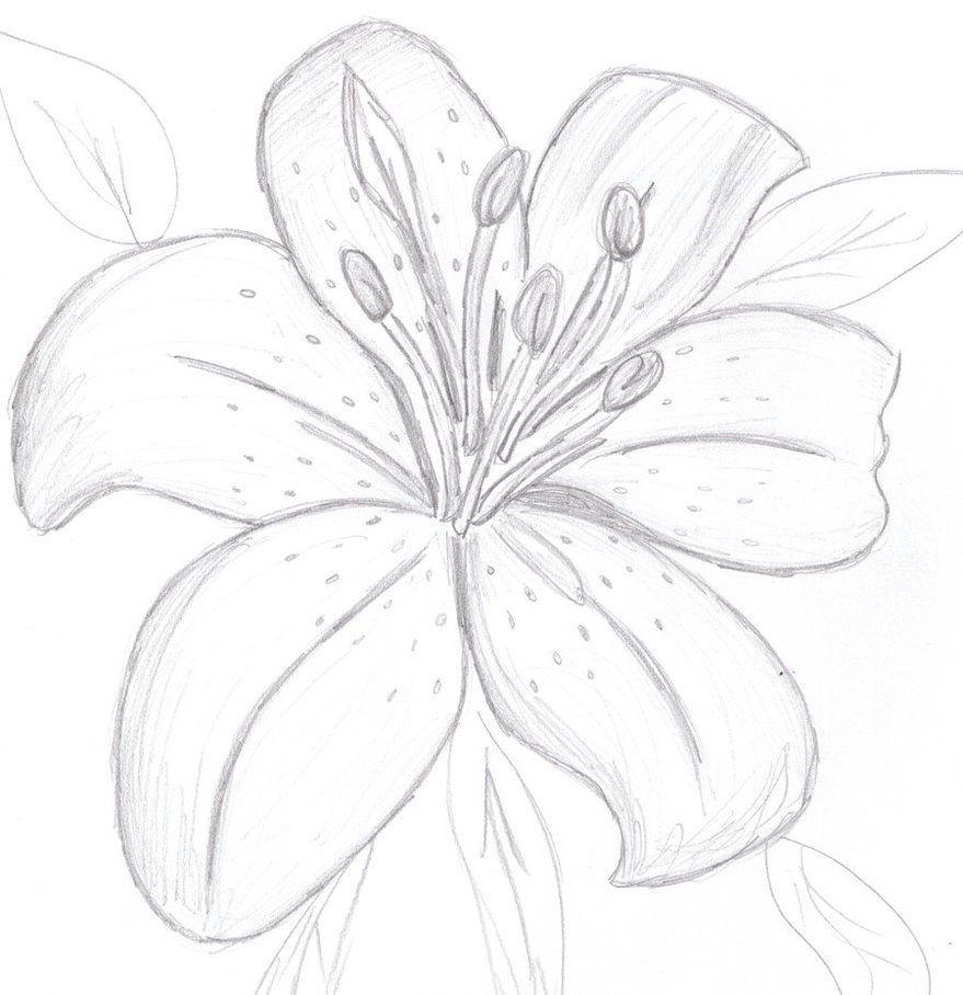 Easy Flower Drawing Ideas