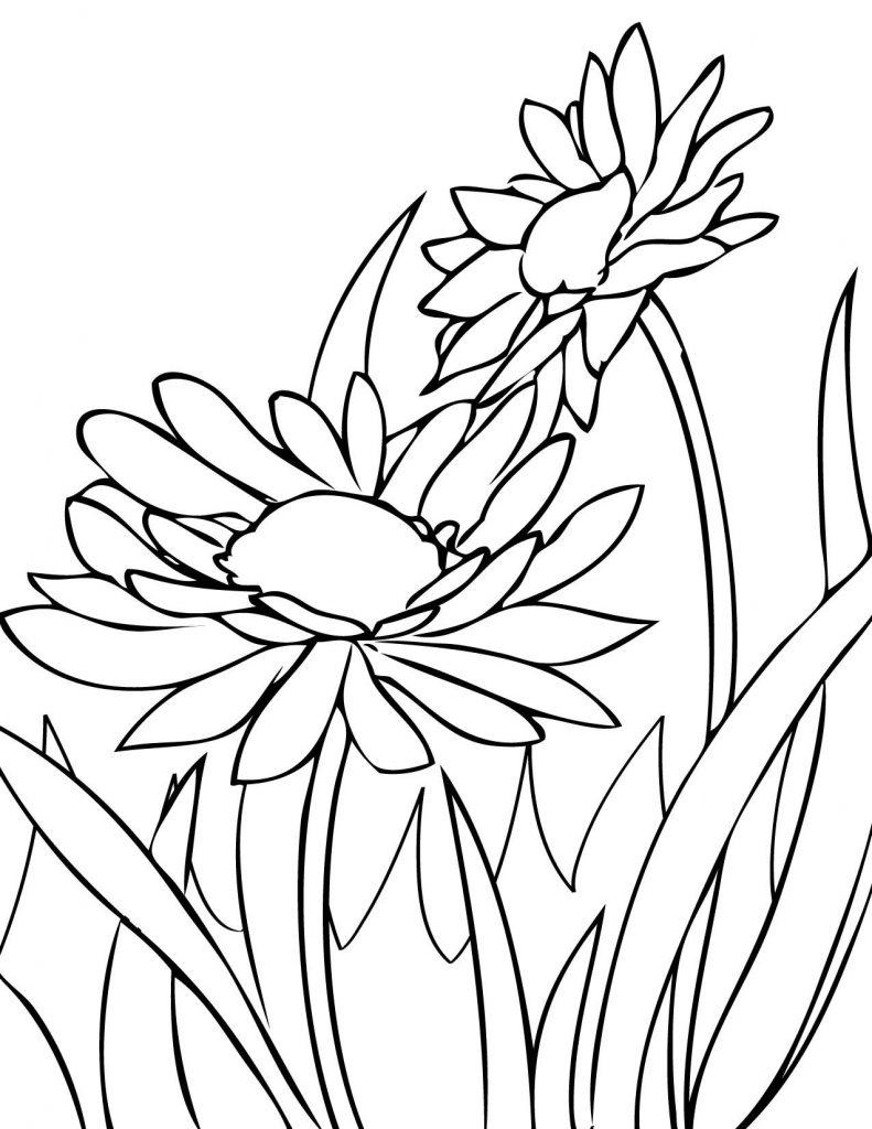 35+ Flower Drawings for Beginners- Step by Step - HARUNMUDAK
