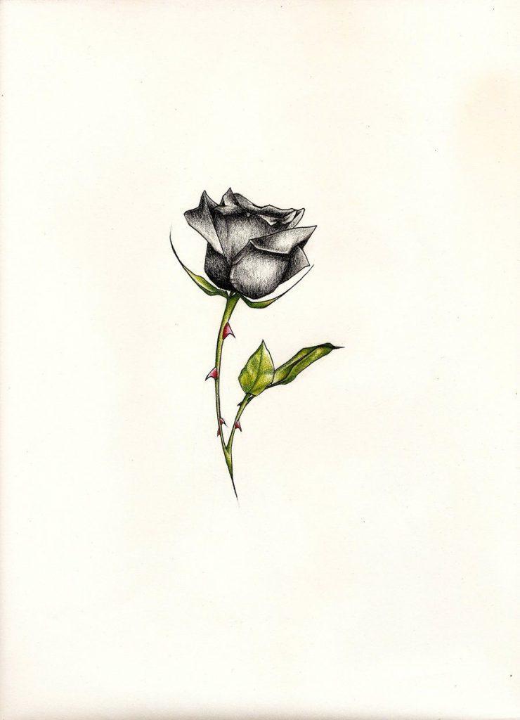 136 Small Rose Drawing Stock Photos HighRes Pictures and Images  Getty  Images