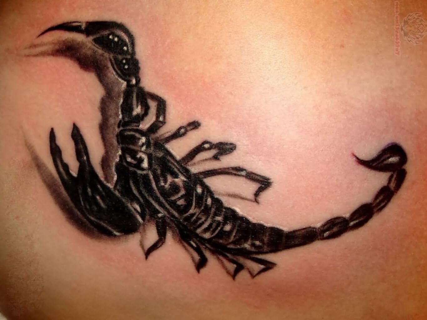 10+ Scorpion Tattoo Ideas HARUNMUDAK