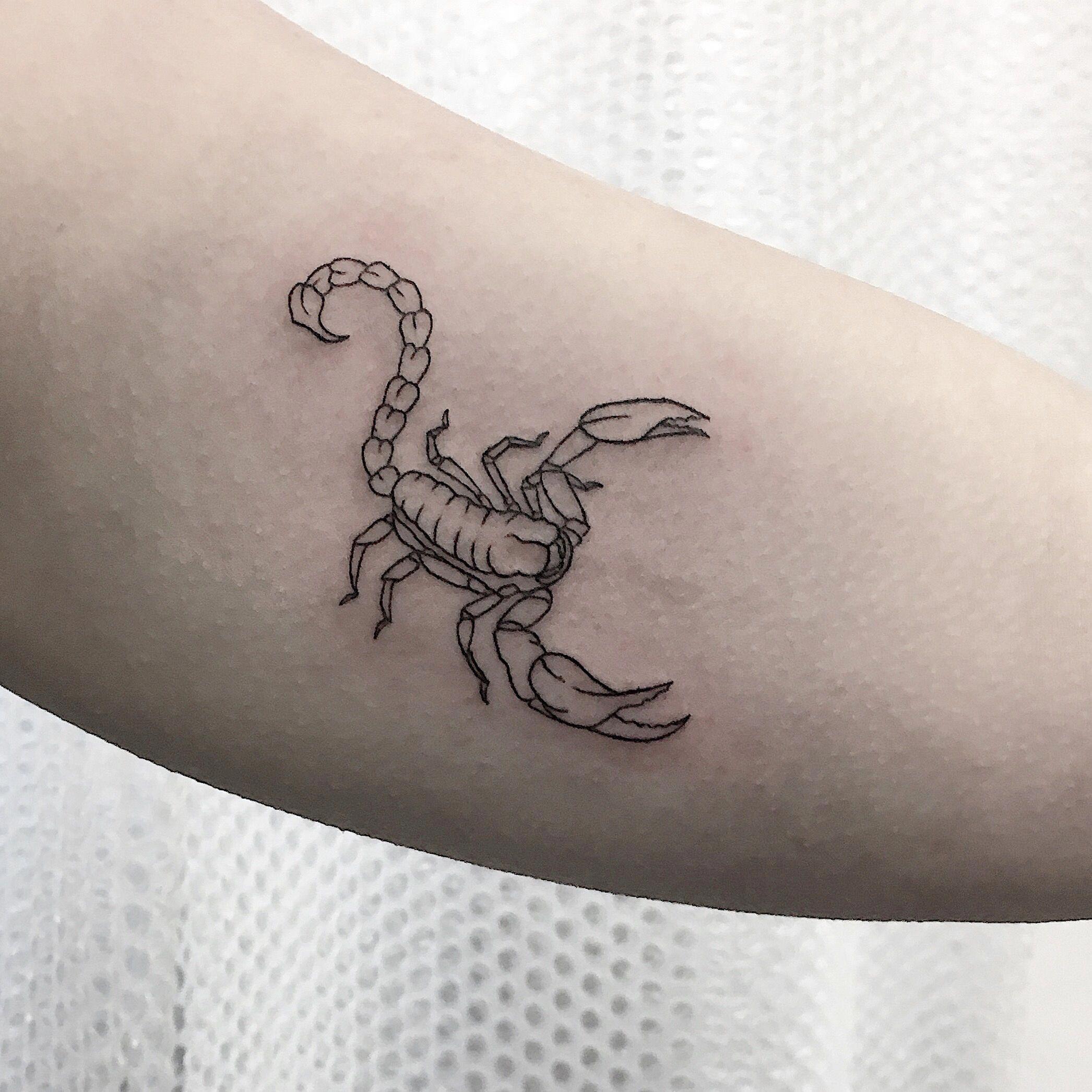 Scorpio Zodiac Sign Tattoo  Tattooed Now 