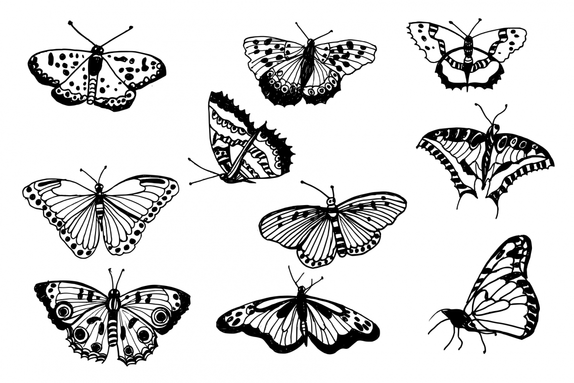 Эскиз бабочки для рисования