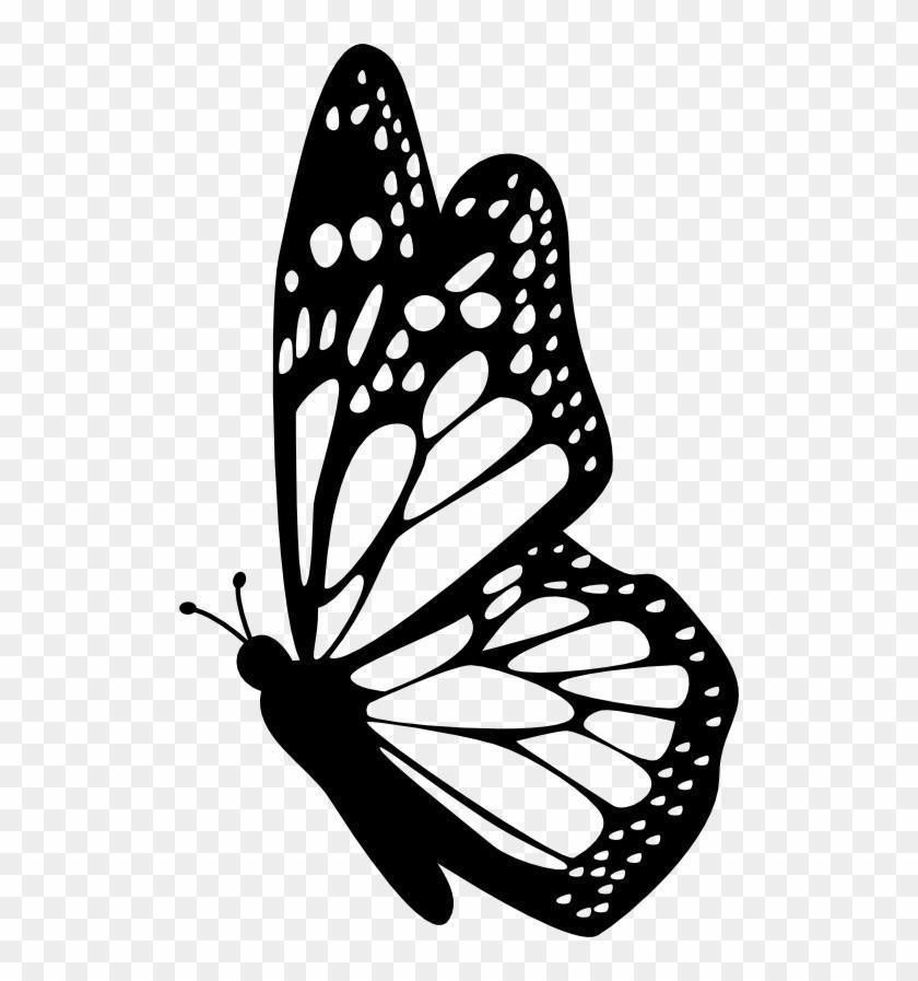 Download 35+ Butterfly Drawing Ideas | HARUNMUDAK