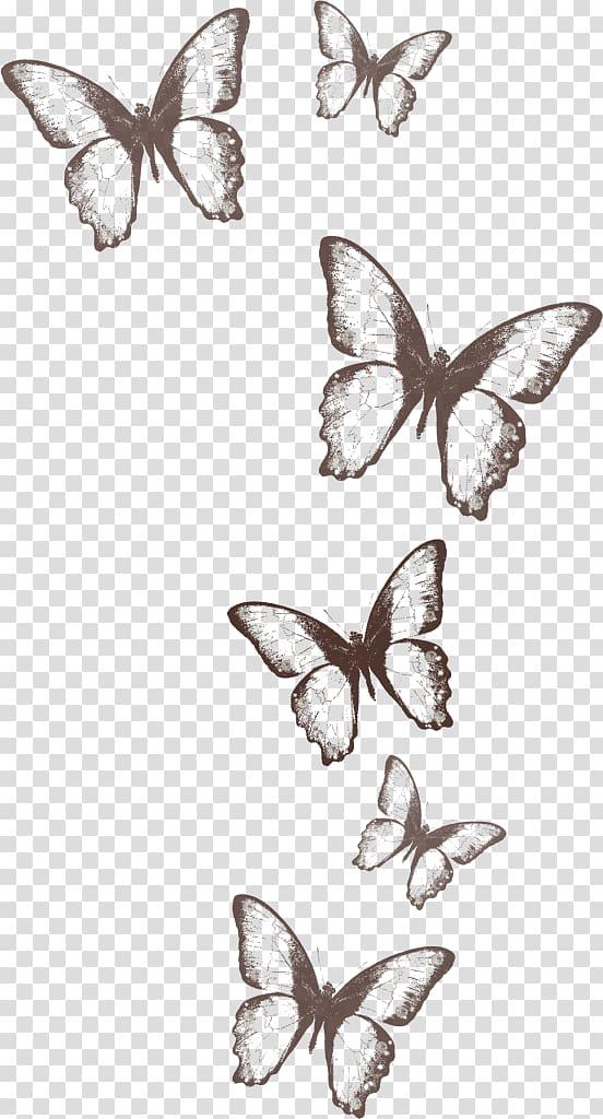 35 Butterfly Drawing Ideas - HARUNMUDAK