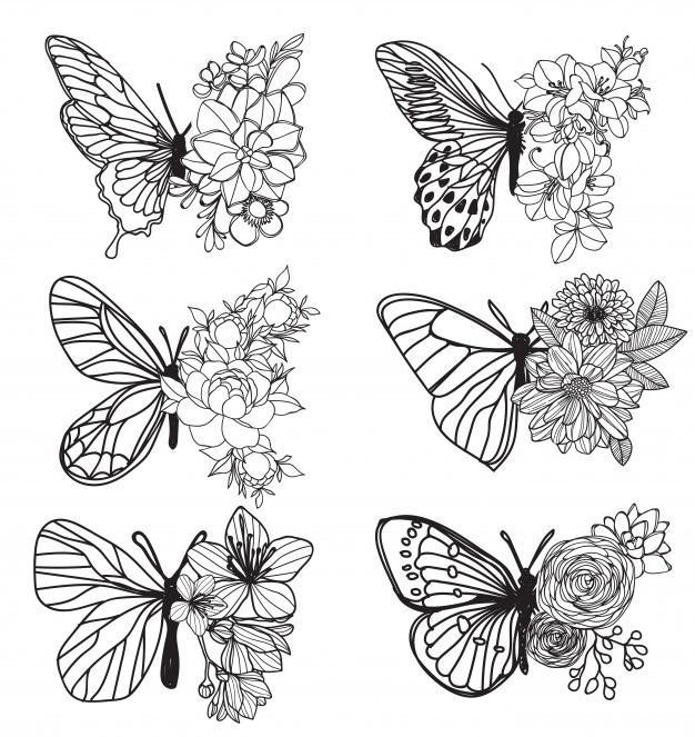 35+ Butterfly Drawing Ideas - HARUNMUDAK