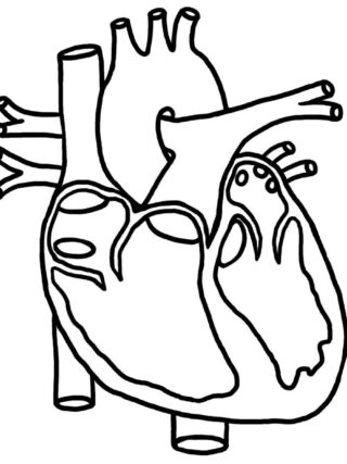 heart drawing 2