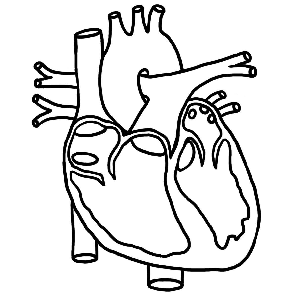 heart drawing 2