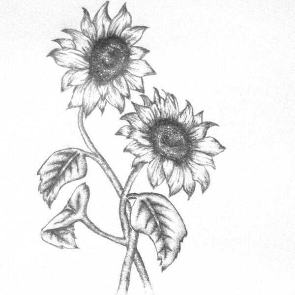 20+ Sunflower Drawing Ideas For Beginners | HARUNMUDAK