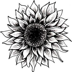 20+ Sunflower Drawing Ideas For Beginners - HARUNMUDAK