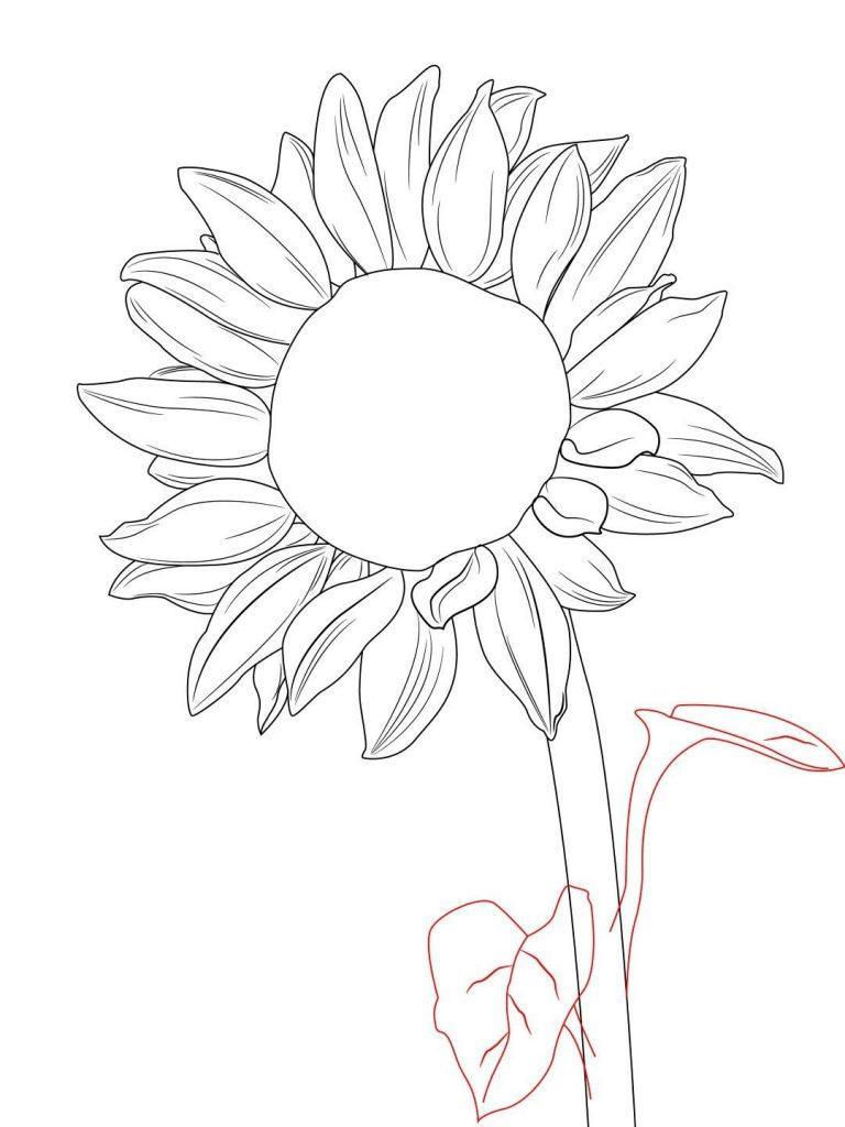 Featured image of post Drawing Ideas Sunflower Easy - These easy to draw sunflowers are first drawn on by tracing them onto your canvas or wood with pencil (free printable stencil below).