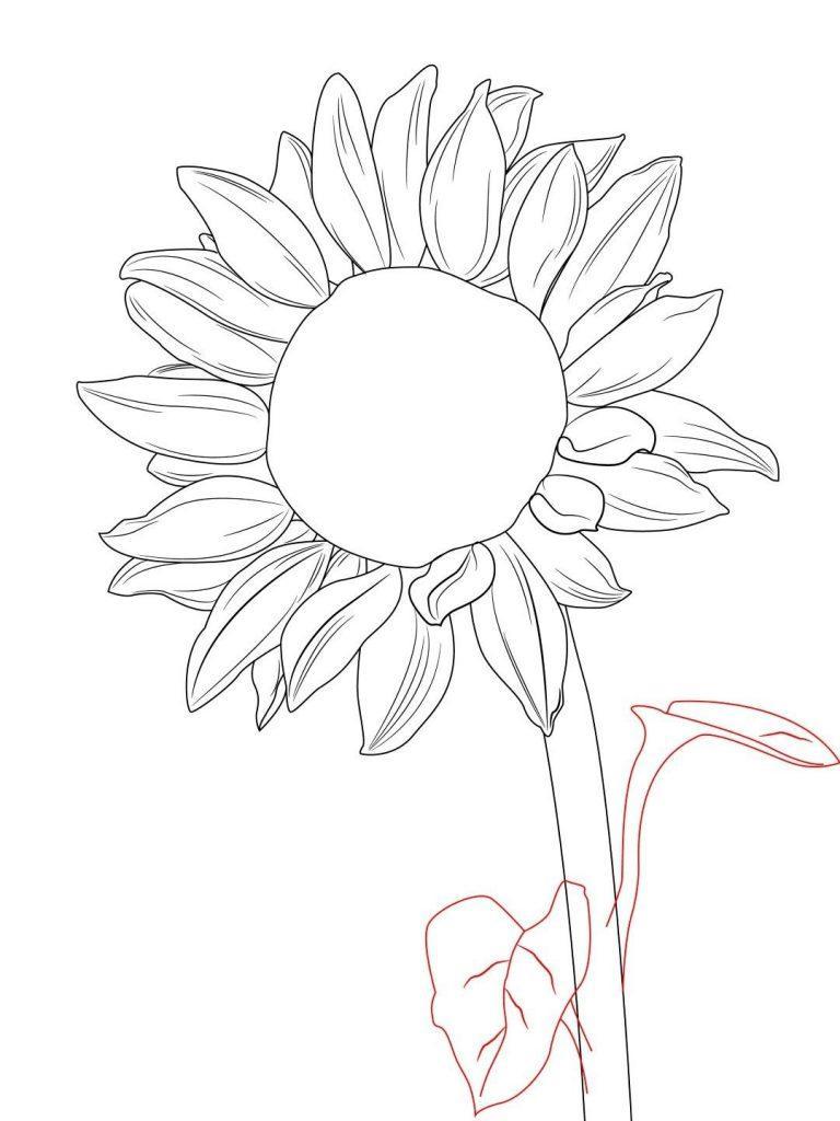 20+ Sunflower Drawing Ideas For Beginners - HARUNMUDAK