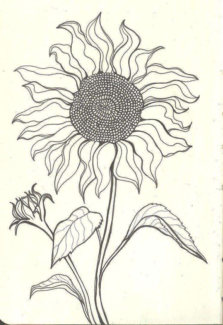 20+ Sunflower Drawing Ideas For Beginners - HARUNMUDAK