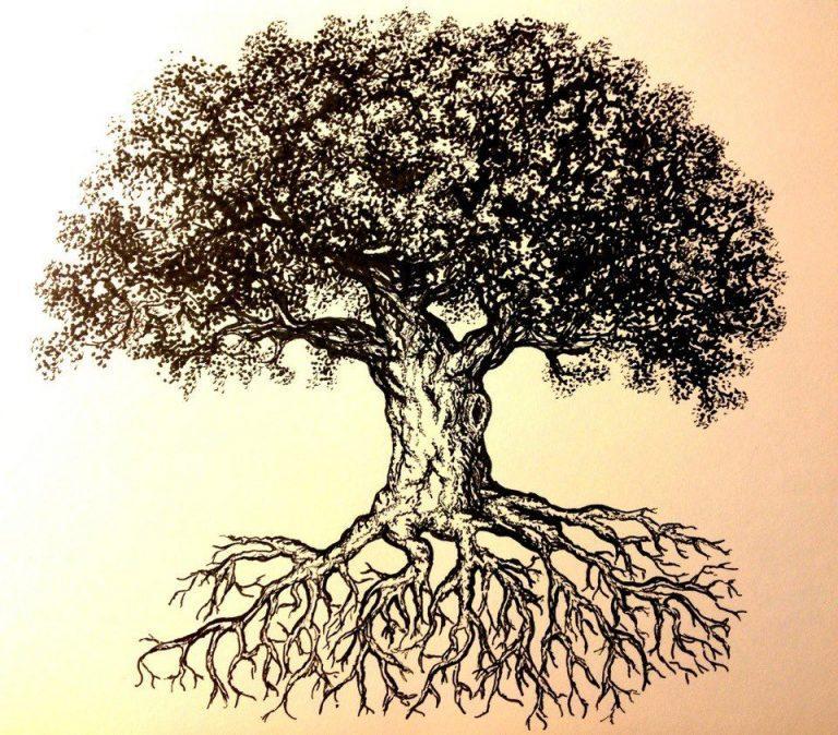 20+ Tree Drawing Ideas For Everyone | HARUNMUDAK
