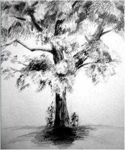 20+ Tree Drawing Ideas For Everyone | HARUNMUDAK