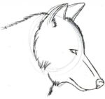 10+ Cool Wolf Drawing Ideas - HARUNMUDAK