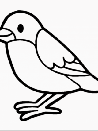 1e6417ad58564561405403c4a867d06c bird drawing easy for kids step by step bird drawing 3dvkarts 1024 737 60+ Best Bird Drawing Idea Tutorials - How To Draw Bird?