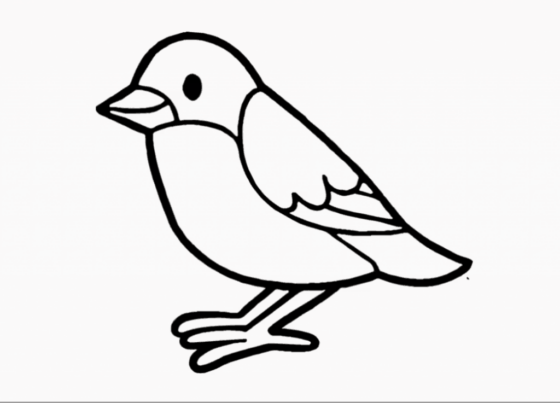 1e6417ad58564561405403c4a867d06c bird drawing easy for kids step by step bird drawing 3dvkarts 1024 737 60+ Best Bird Drawing Idea Tutorials - How To Draw Bird?