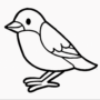 1e6417ad58564561405403c4a867d06c bird drawing easy for kids step by step bird drawing 3dvkarts 1024 737 60+ Best Bird Drawing Idea Tutorials - How To Draw Bird?