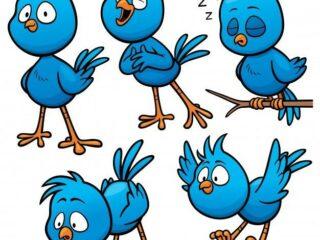cartoon bird 8 30+ Cartoon Bird Images & Ideas To Draw