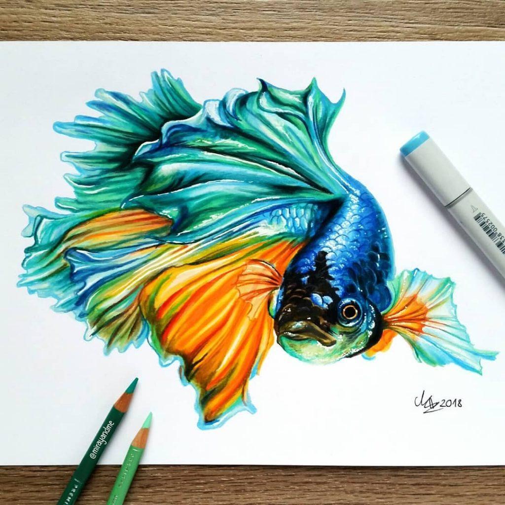 40 Beautiful Colored Pencil Drawings Colored Pencil Art HARUNMUDAK