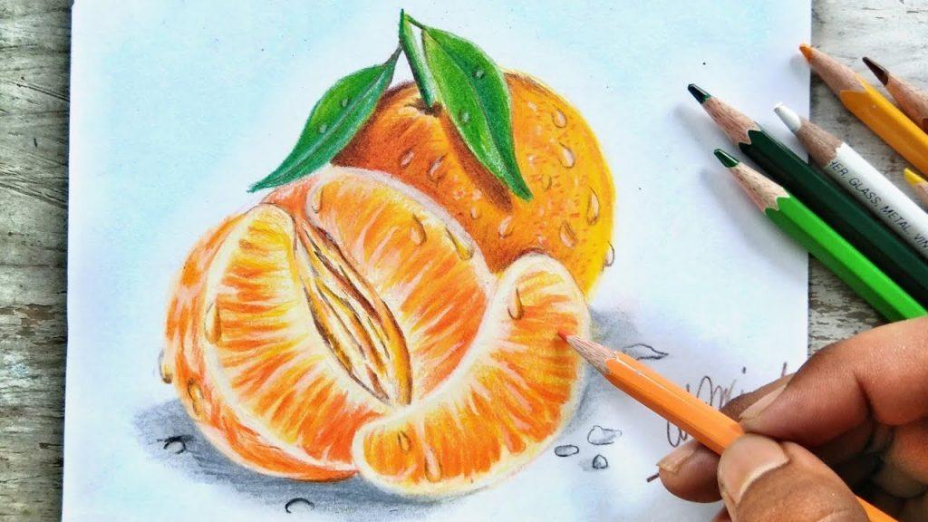 40 Beautiful Colored Pencil Drawings Colored Pencil Art HARUNMUDAK